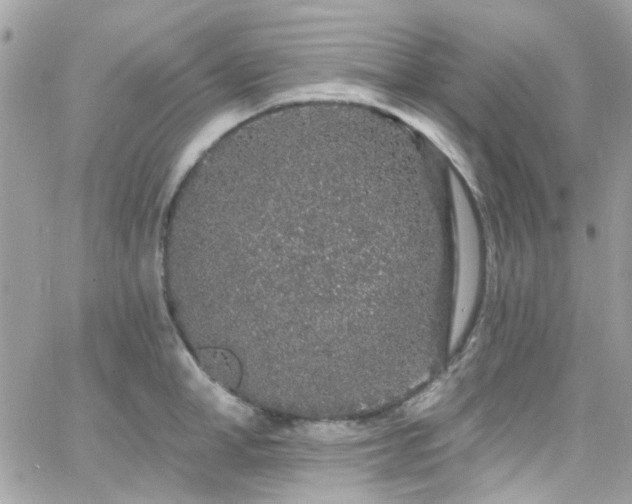 X0000066530998200603241357