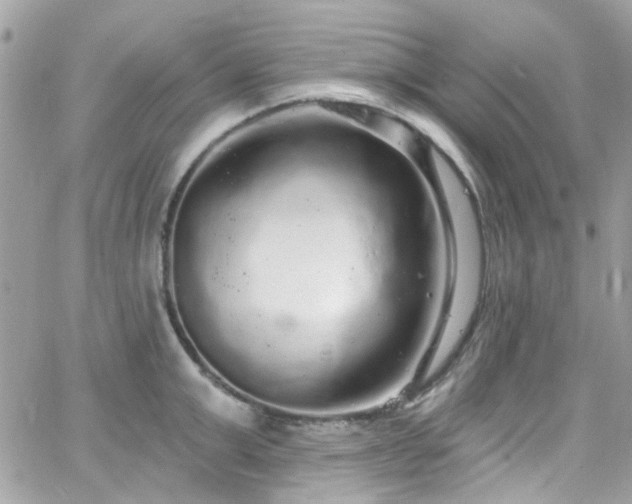 X0000066530999200603241357