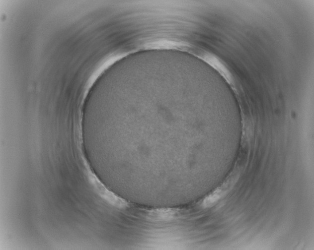 X0000066531000200603241357