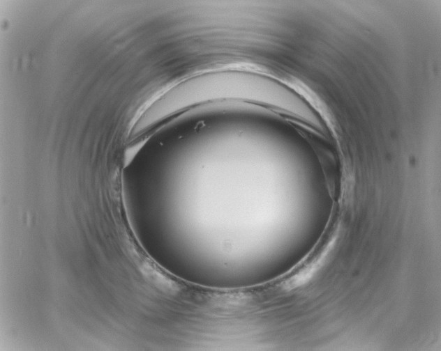 X0000066531001200603241357