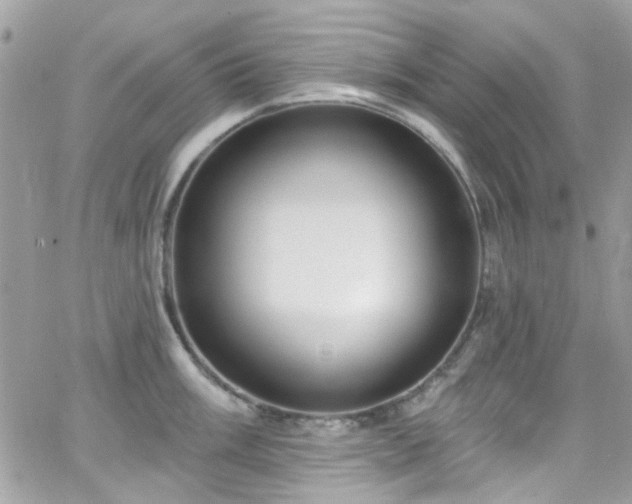 X0000066531003200603241357