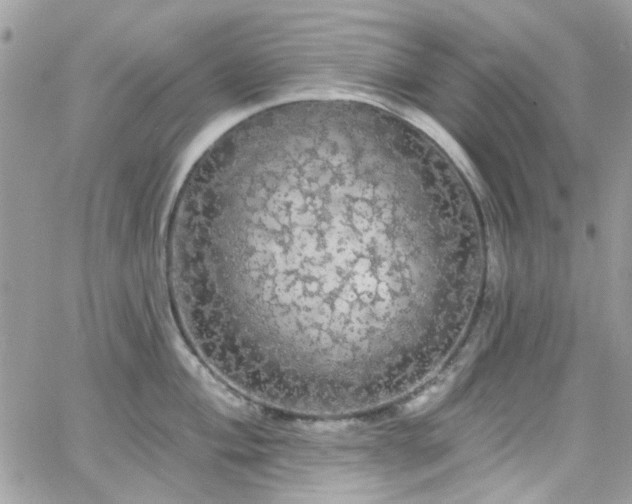 X0000066531004200603241357