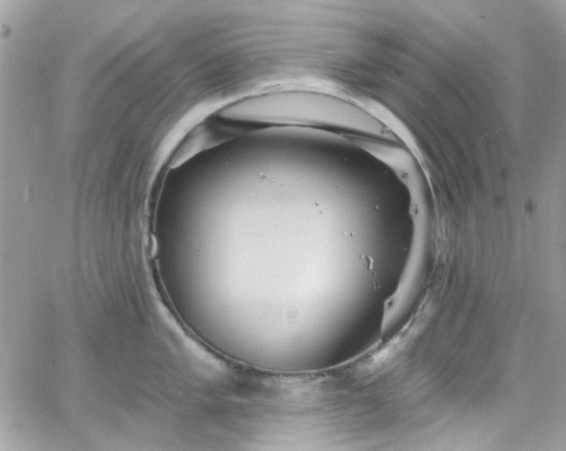 X0000066531005200603241357