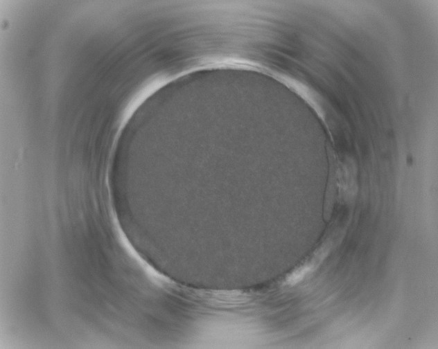 X0000066531007200603241357