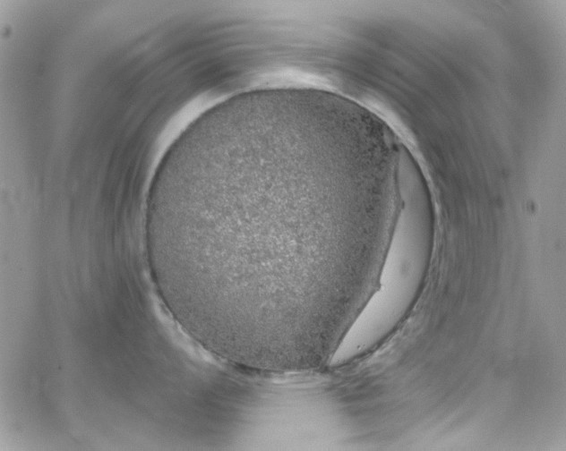 X0000066531008200603241357