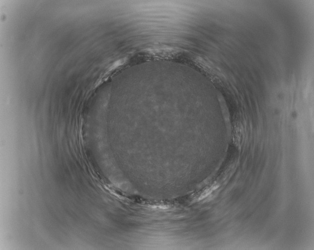 X0000066531010200603241356