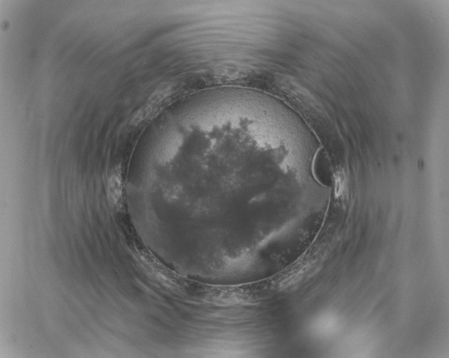 X0000066531011200603241356