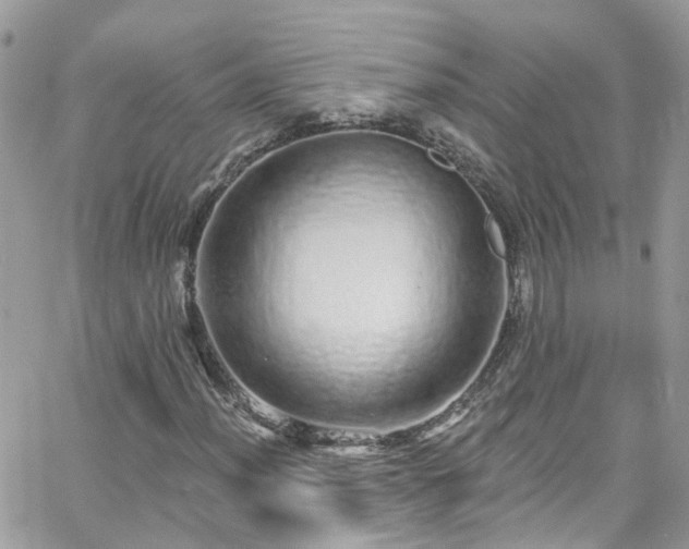 X0000066531012200603241356