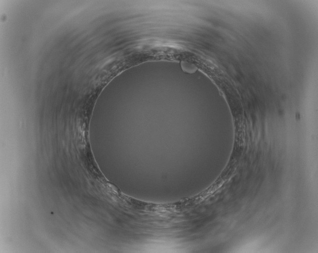 X0000066531013200603241356