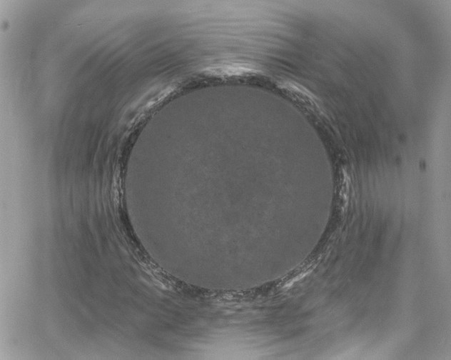 X0000066531014200603241356