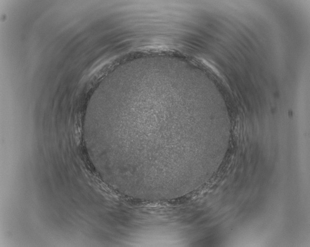 X0000066531015200603241356