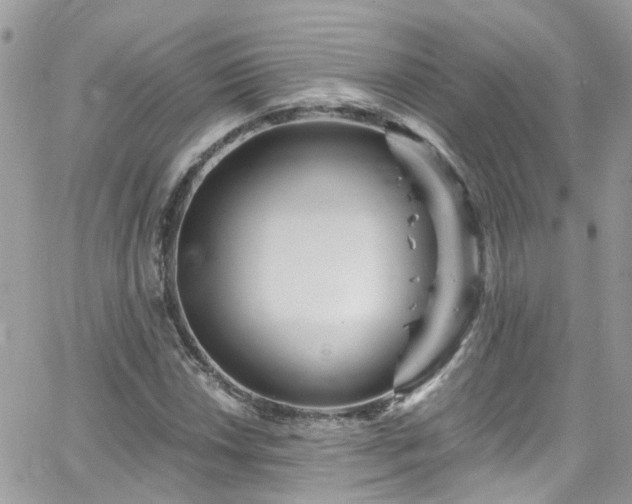 X0000066531018200603241356