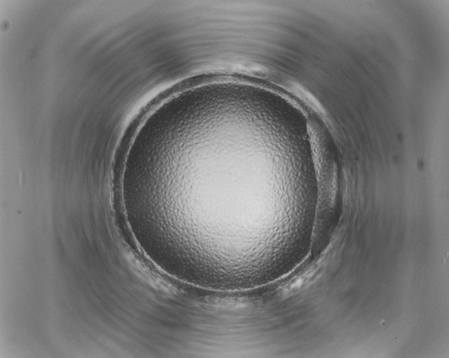 X0000066531020200603241356