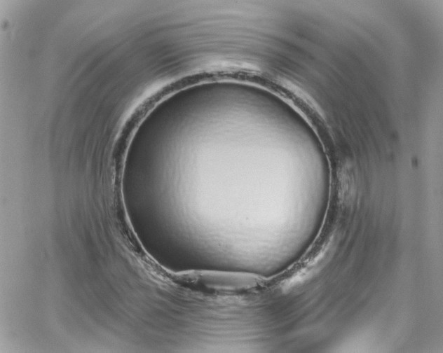 X0000066531021200603241356