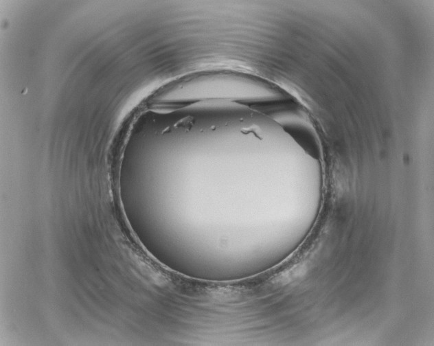 X0000066531022200603241356