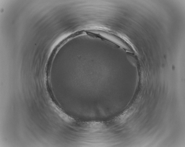 X0000066531024200603241356