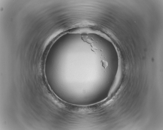 X0000066531026200603241356