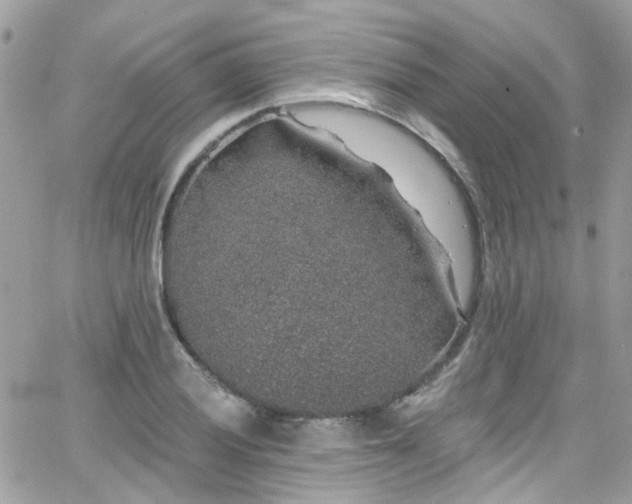 X0000066531028200603241356