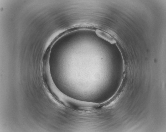 X0000066531030200603241356