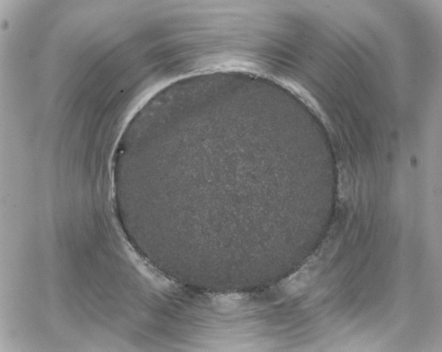 X0000066531031200603241356