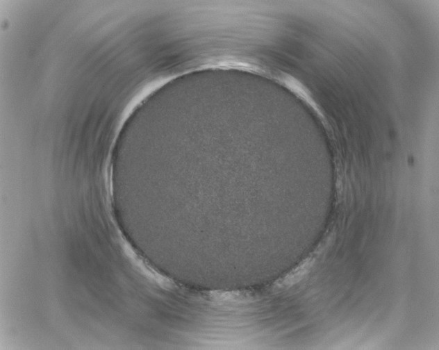 X0000066531032200603241356