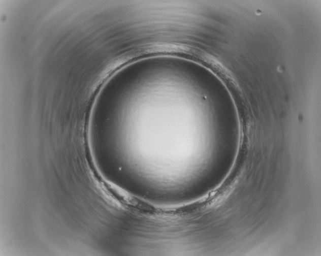 X0000066531033200603241356