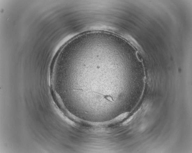 X0000066531036200603241356