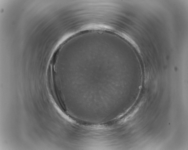 X0000066531037200603241356