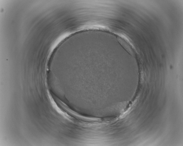 X0000066531038200603241356