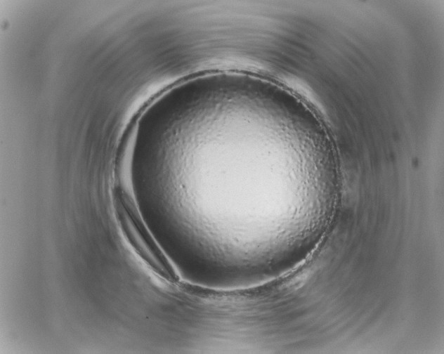 X0000066531040200603241356