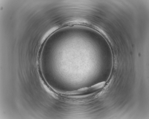 X0000066531042200603241356