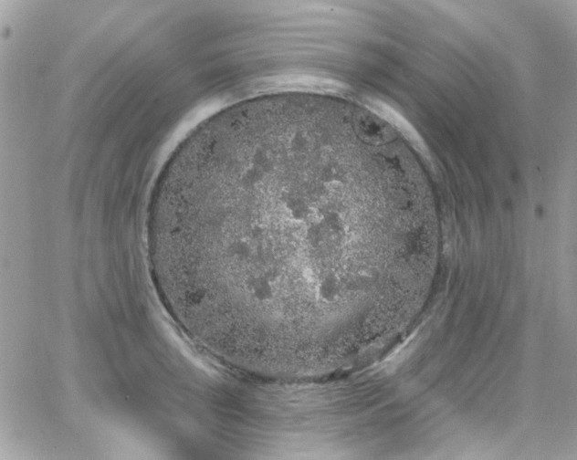 X0000066531043200603241356