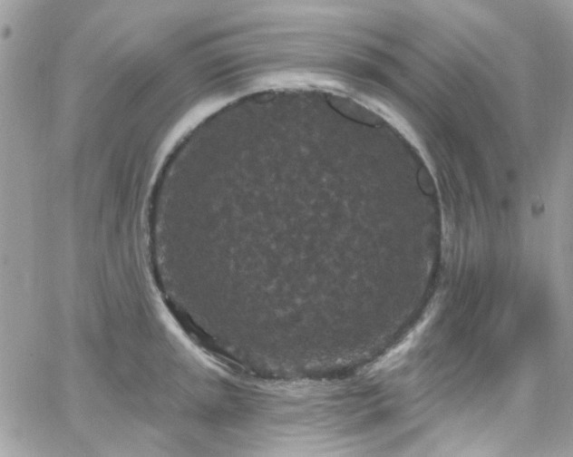 X0000066531045200603241357