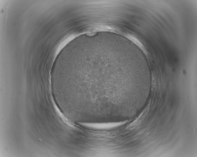 X0000066531047200603241357