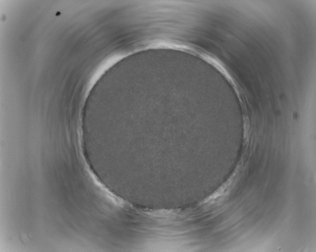 X0000066531048200603241357