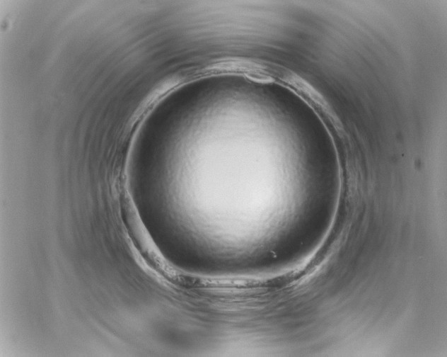 X0000066531049200603241357