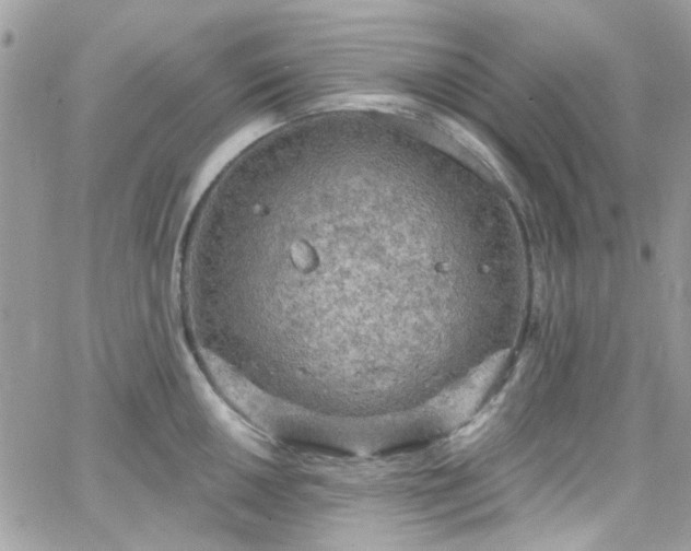 X0000066531050200603241357