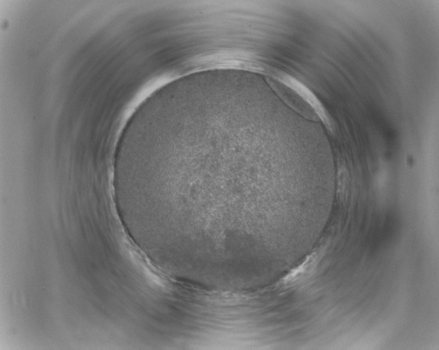 X0000066531051200603241357