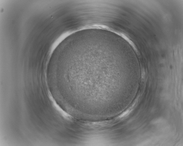 X0000066531054200603241357