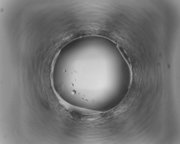 X0000066531057200603241356