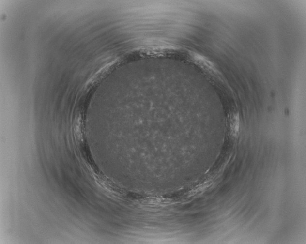 X0000066531060200603241356