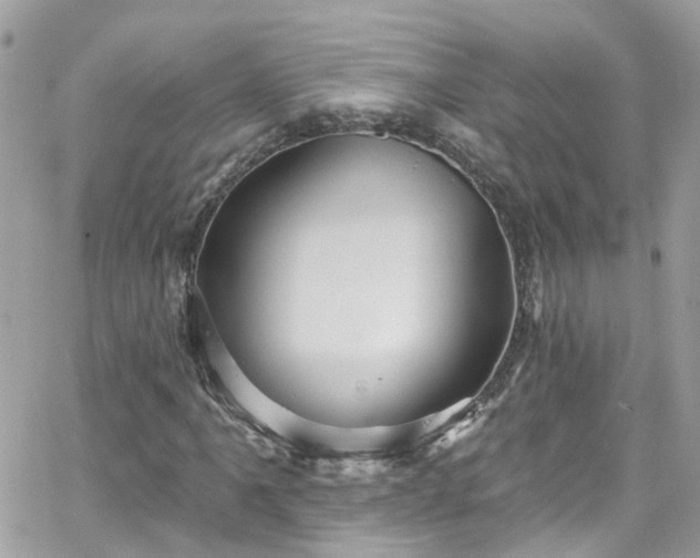 X0000066531061200603241356