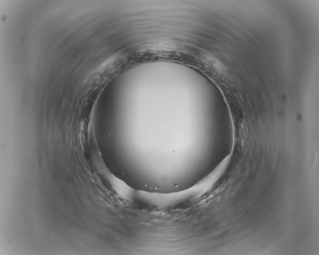 X0000066531062200603241356