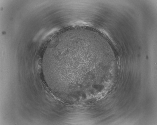 X0000066531063200603241356