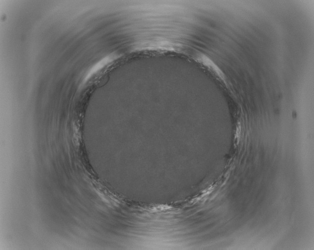 X0000066531064200603241356