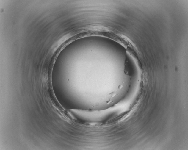 X0000066531065200603241356