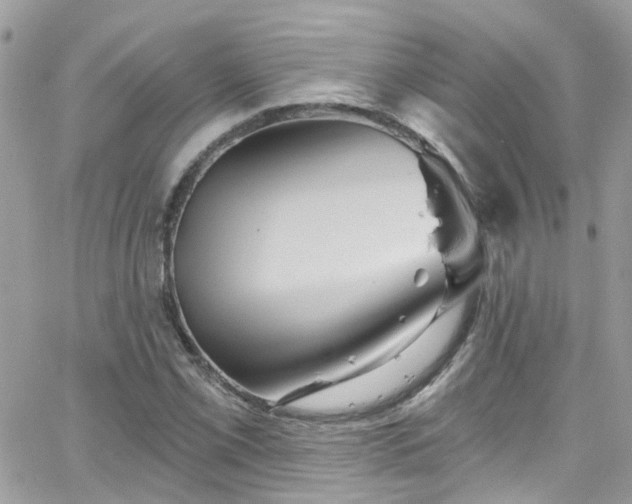 X0000066531069200603241356