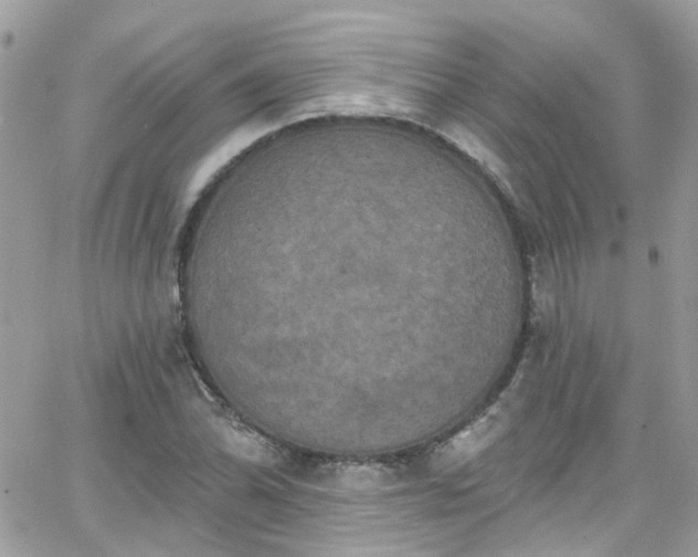 X0000066531070200603241356