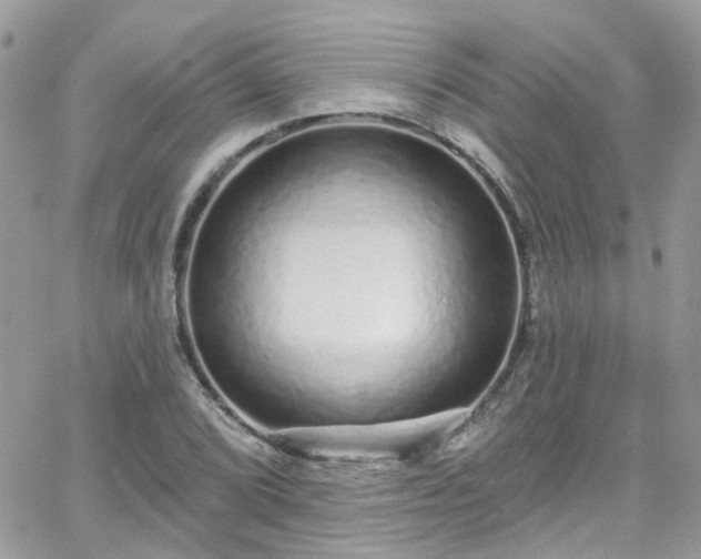 X0000066531072200603241356