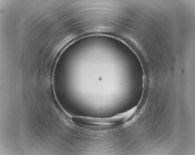 X0000066531073200603241356